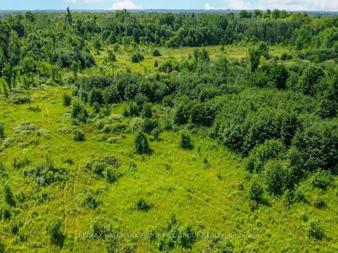 LOT 5 CONCESSION 5, Kawartha Lakes (Carden)