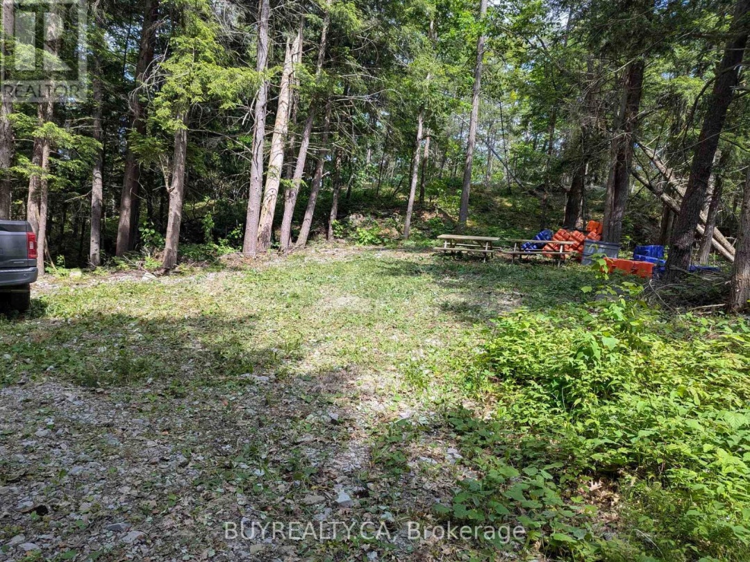2318 SHERWOOD FOREST LANE, 