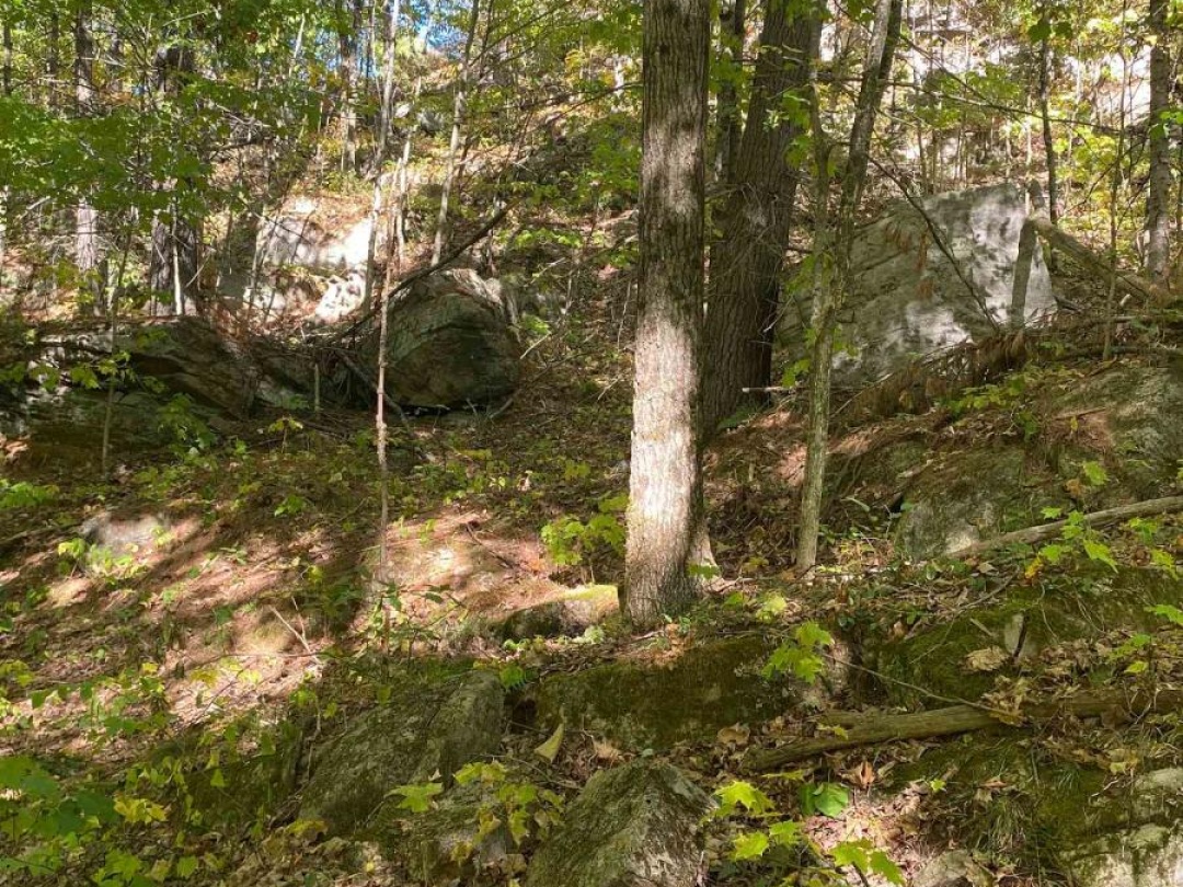 1248 BEIERS ROAD, Gravenhurst (Morrison)