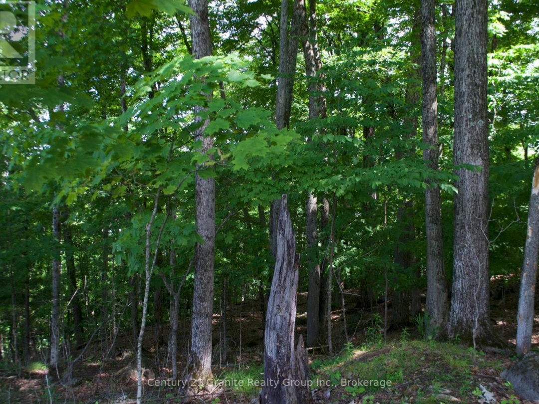 LOT 7 RIDGEVIEW ROAD, 