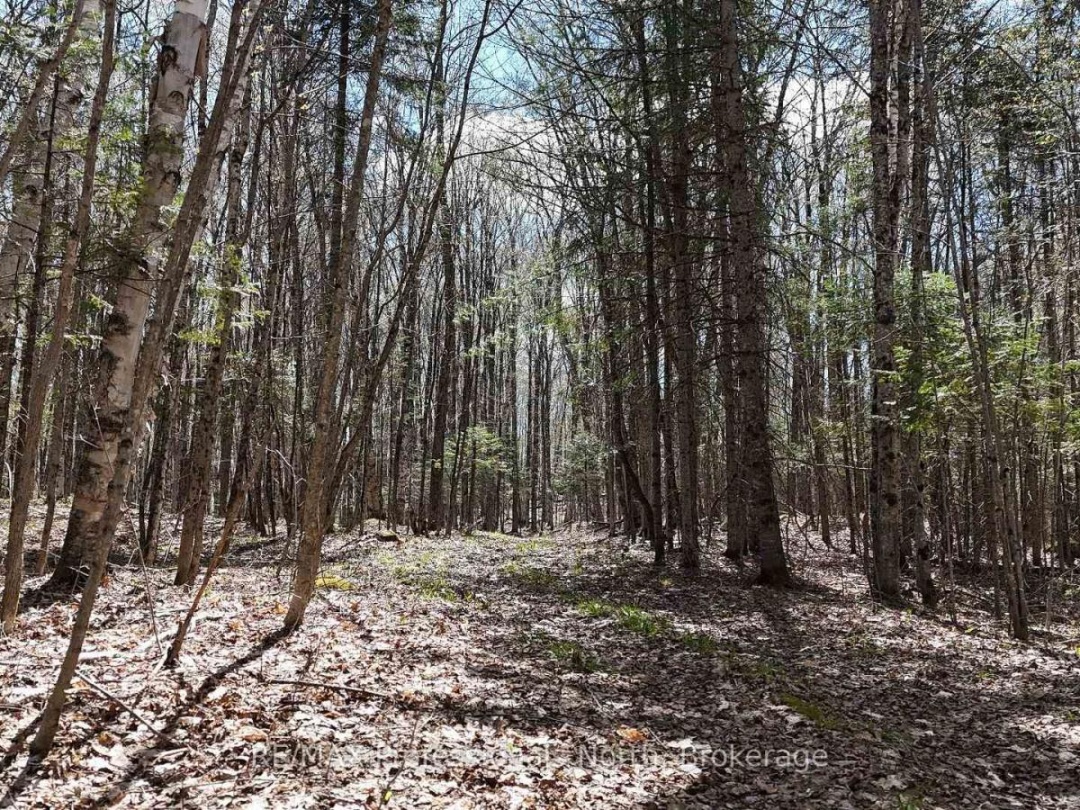 0 OSPREY ROAD, Minden Hills (Minden)