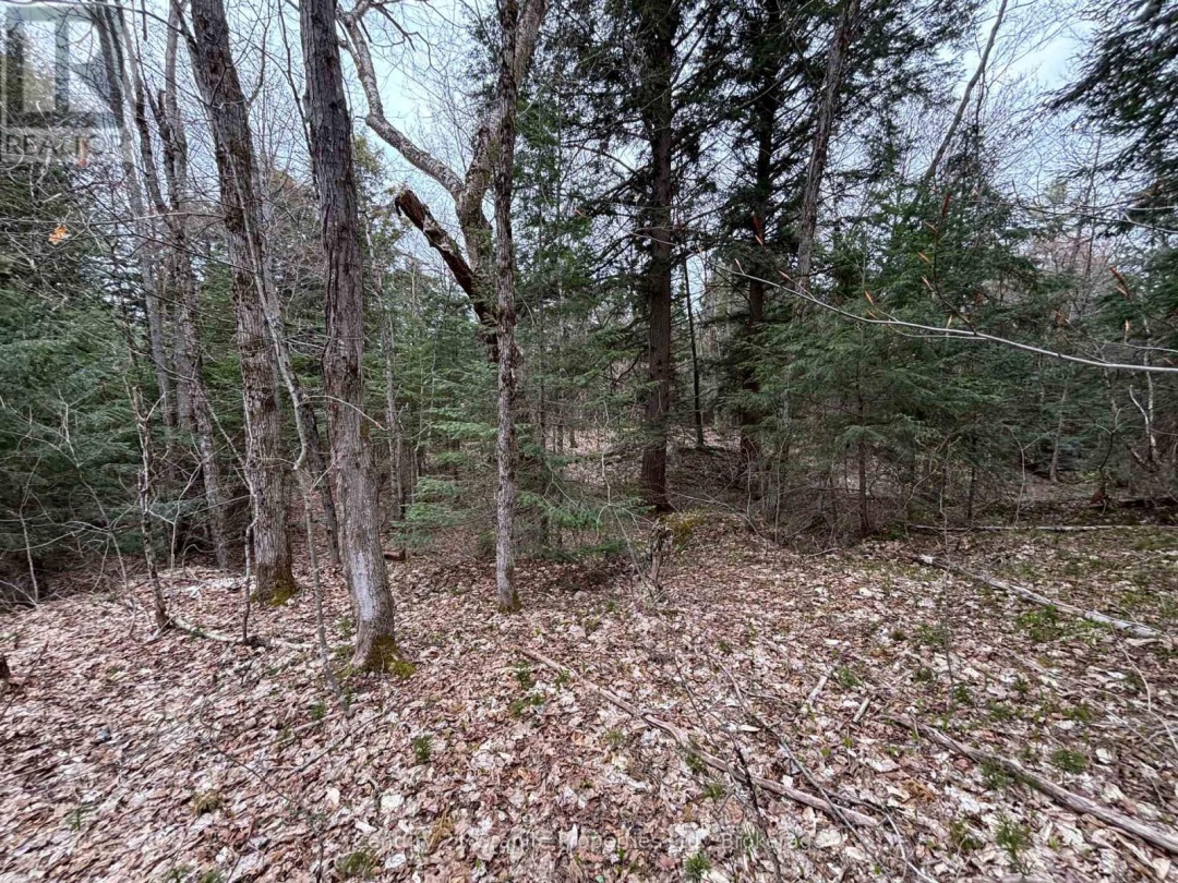LOT 1 LOCH ERNE ROAD, McDougall