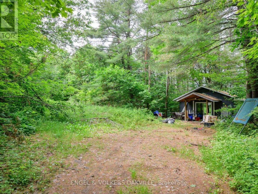 253 MAPLE STREET, Bracebridge (Macaulay)