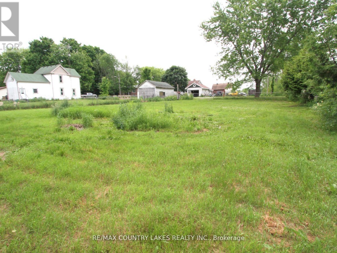 24 Richmond Street W, Kawartha Lakes (Carden)