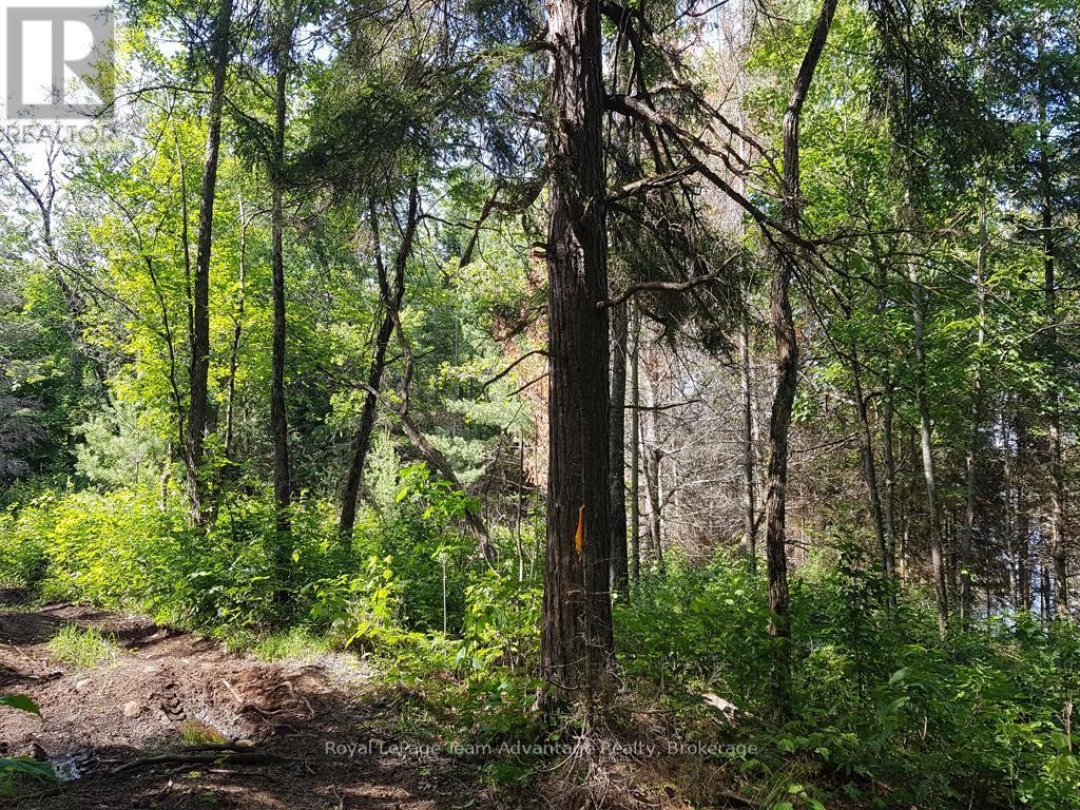 0 UNOPENED ROAD ALLOWANCE ROAD, McKellar