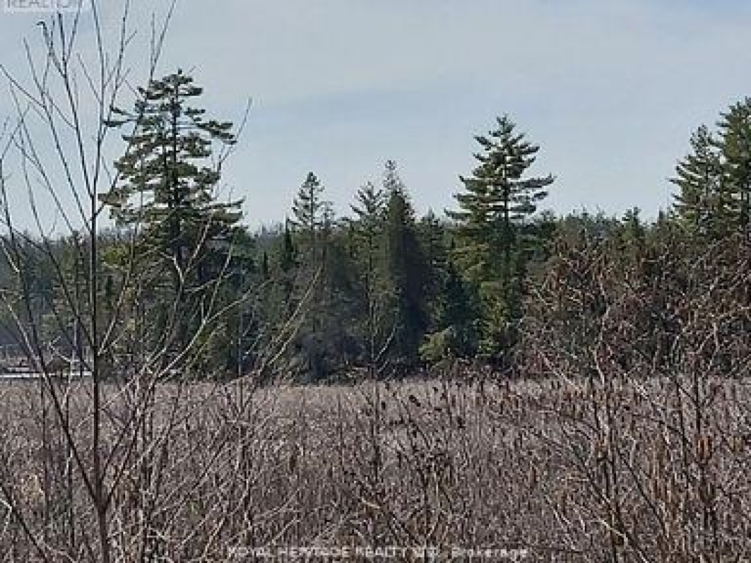 00 BASS LAKE ROAD N, 