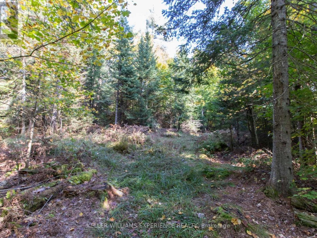 0 LYNX LAKE ROAD, Huntsville (Brunel)
