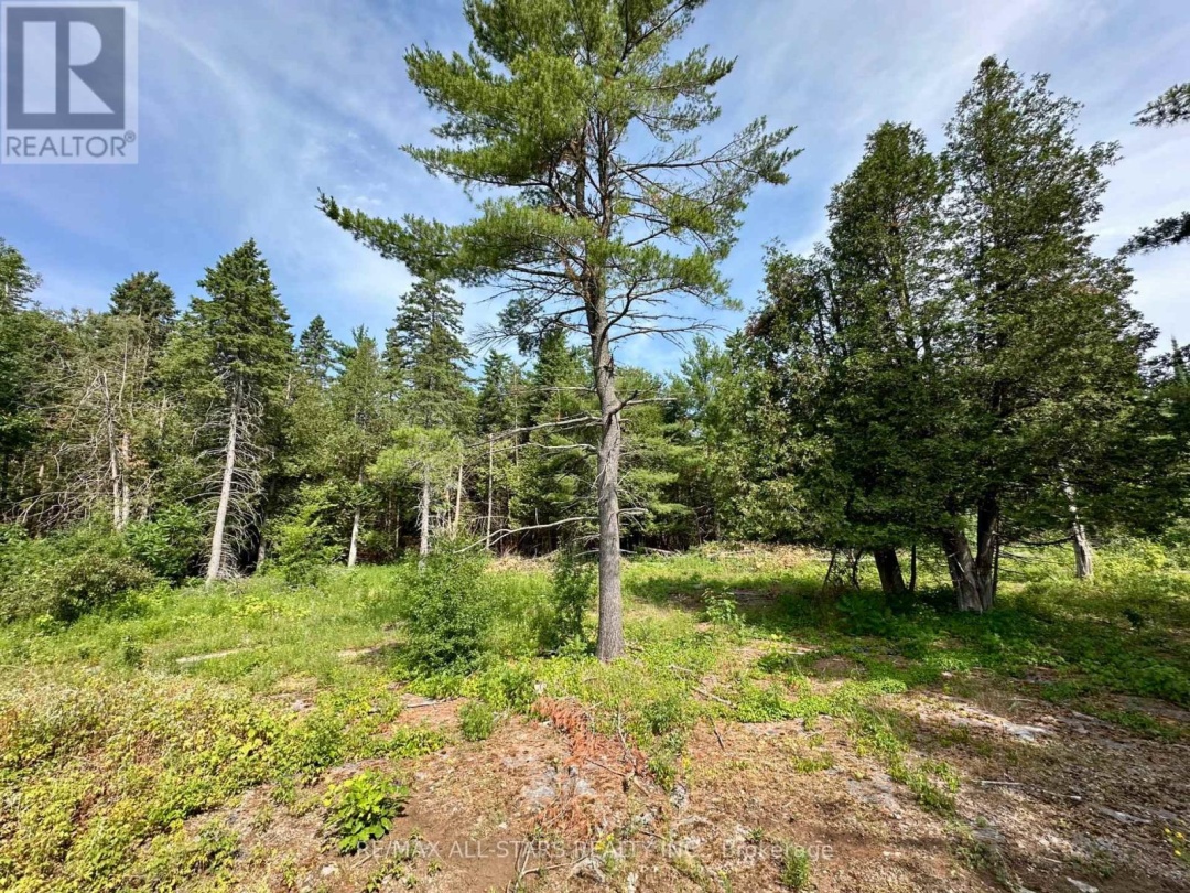 380 LEDGE ROAD, 