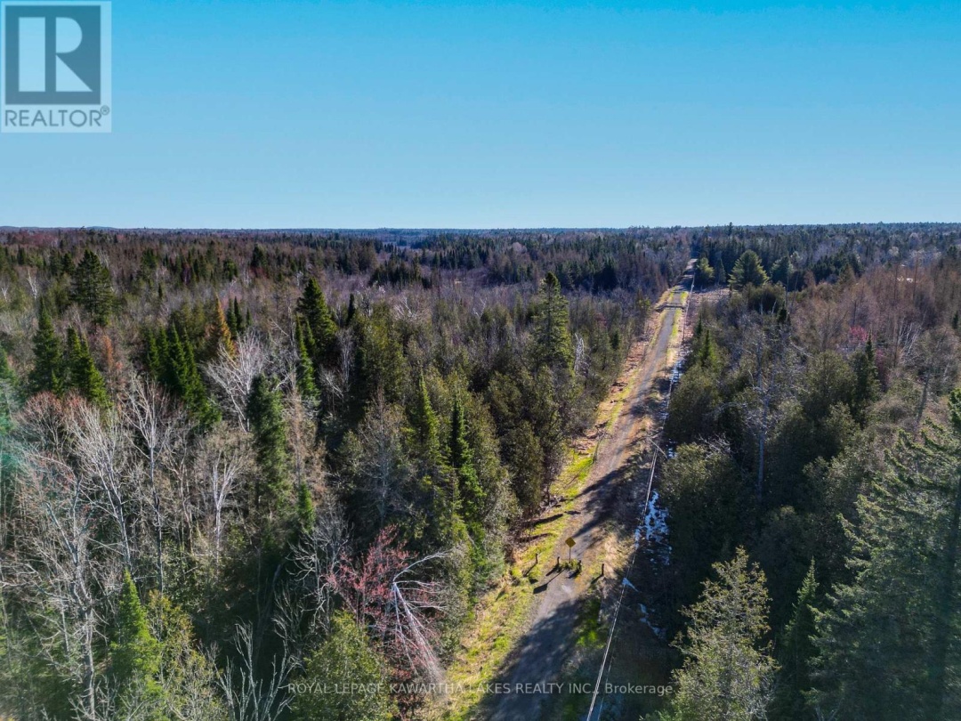 LT 4 DUTCH LINE ROAD W, Trent Lakes