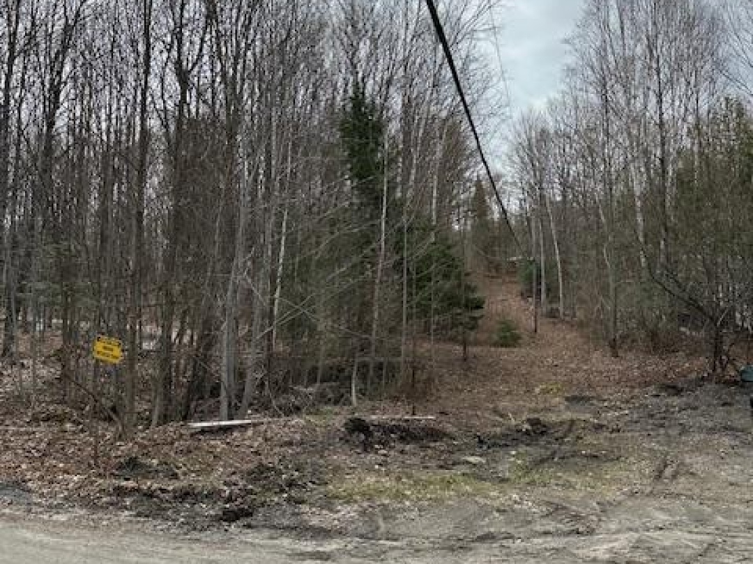 0 PROVIDENCE DRIVE, Maple Lake