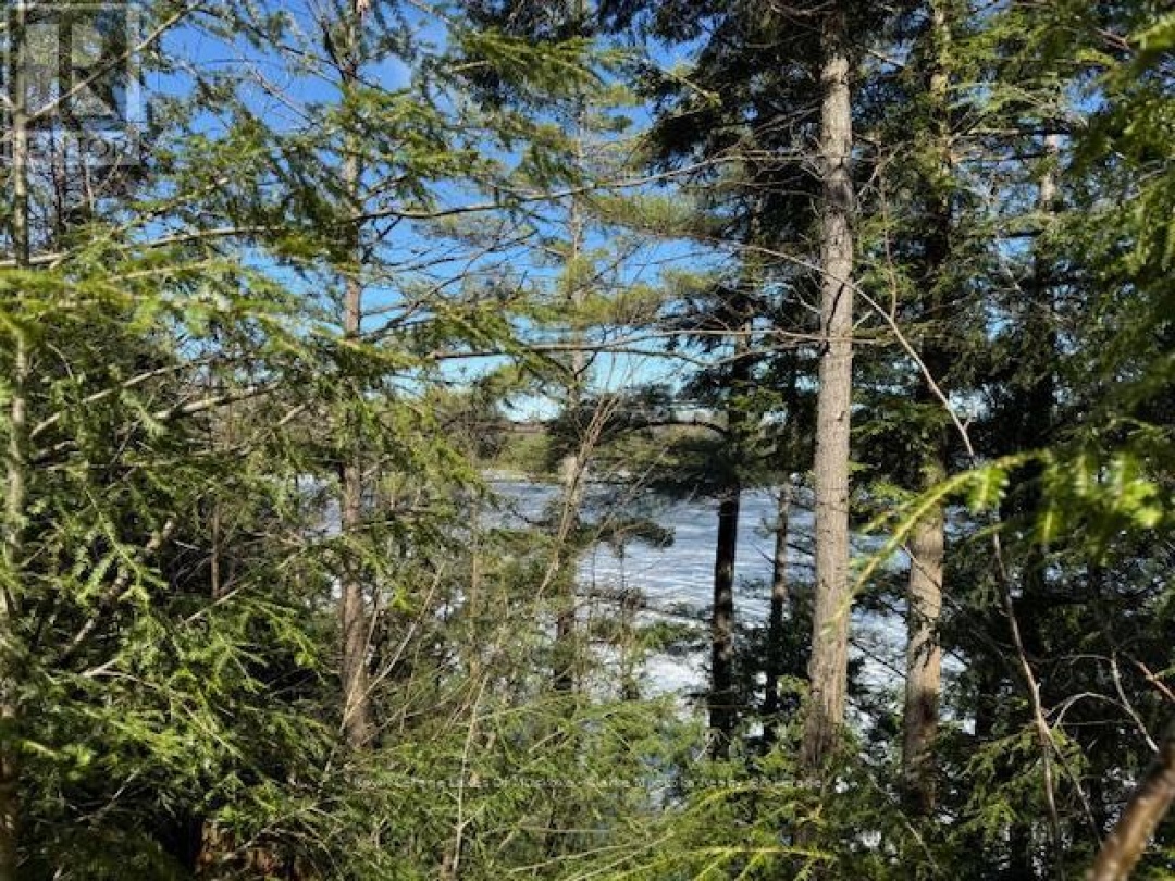 0 SOUTH CRANE LAKE ROAD, Crane Lake
