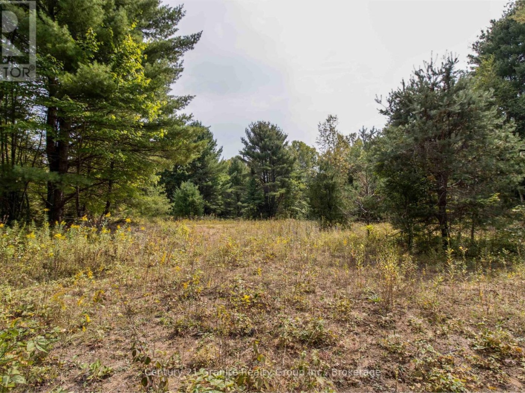 4729 COUNTY ROAD 121, Minden Hills (Lutterworth)