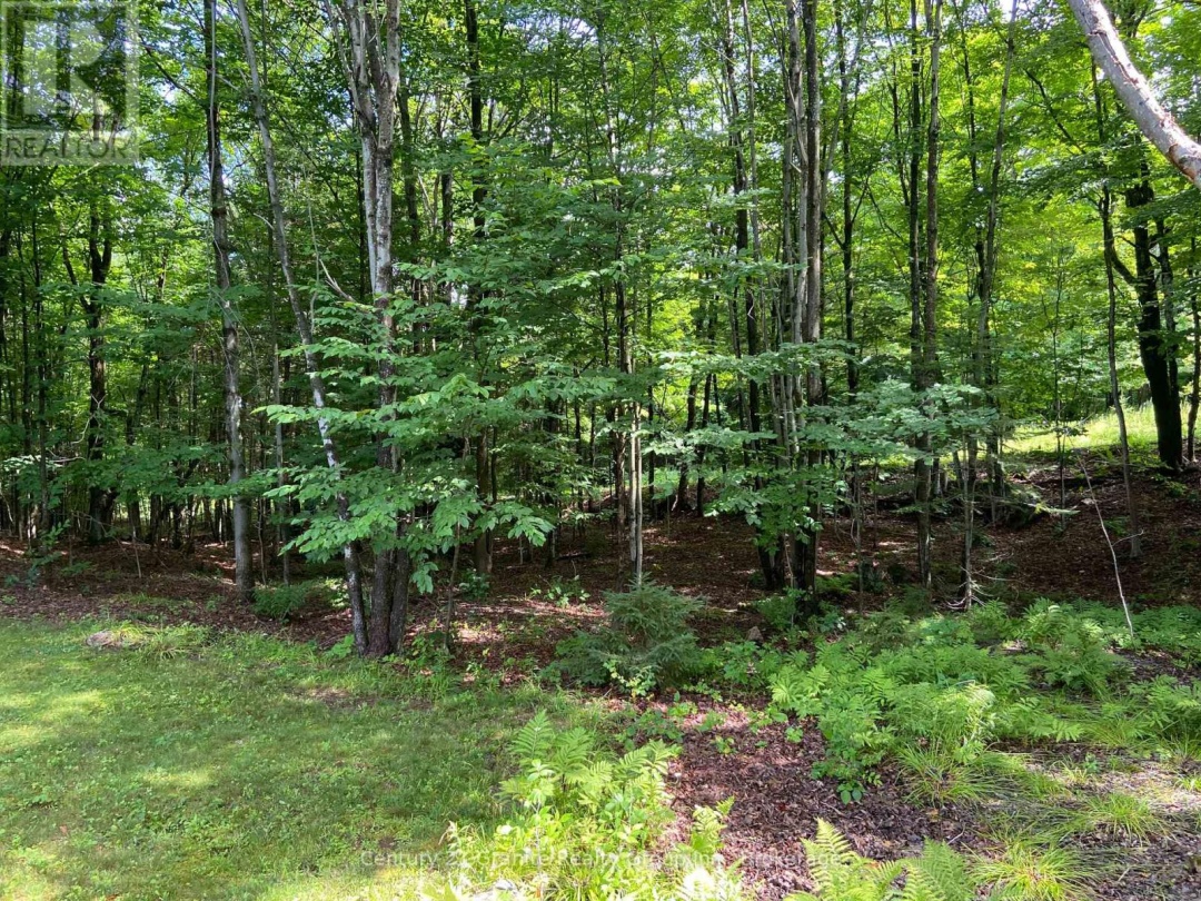 1931 DUCK LAKE ROAD, 