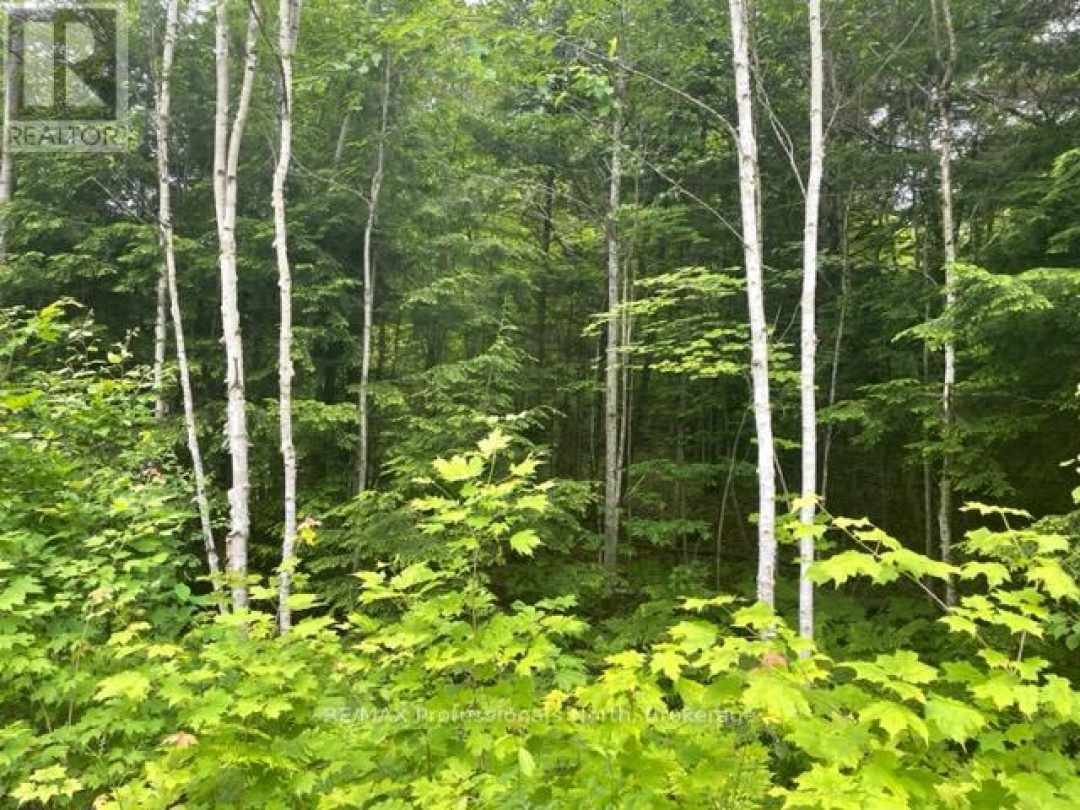 0 BIG HAWK LAKE ROAD, Algonquin Highlands (Stanhope)