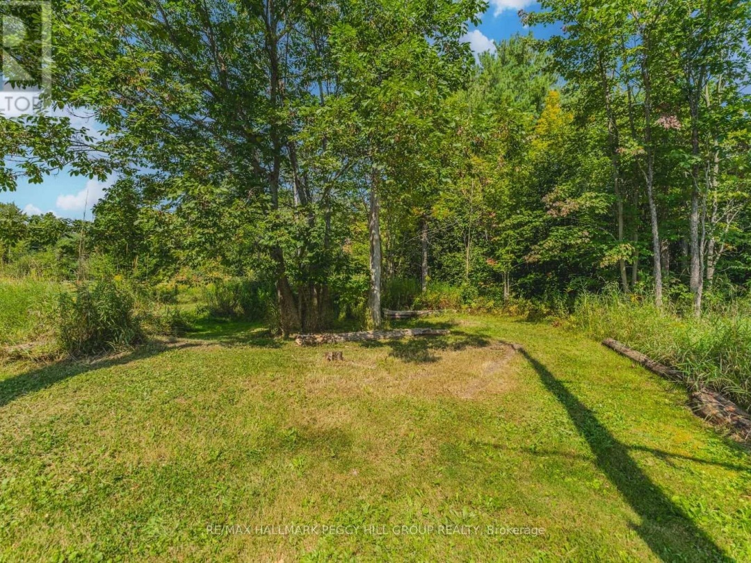 2161 Coopers Falls Road, Severn (Washago)
