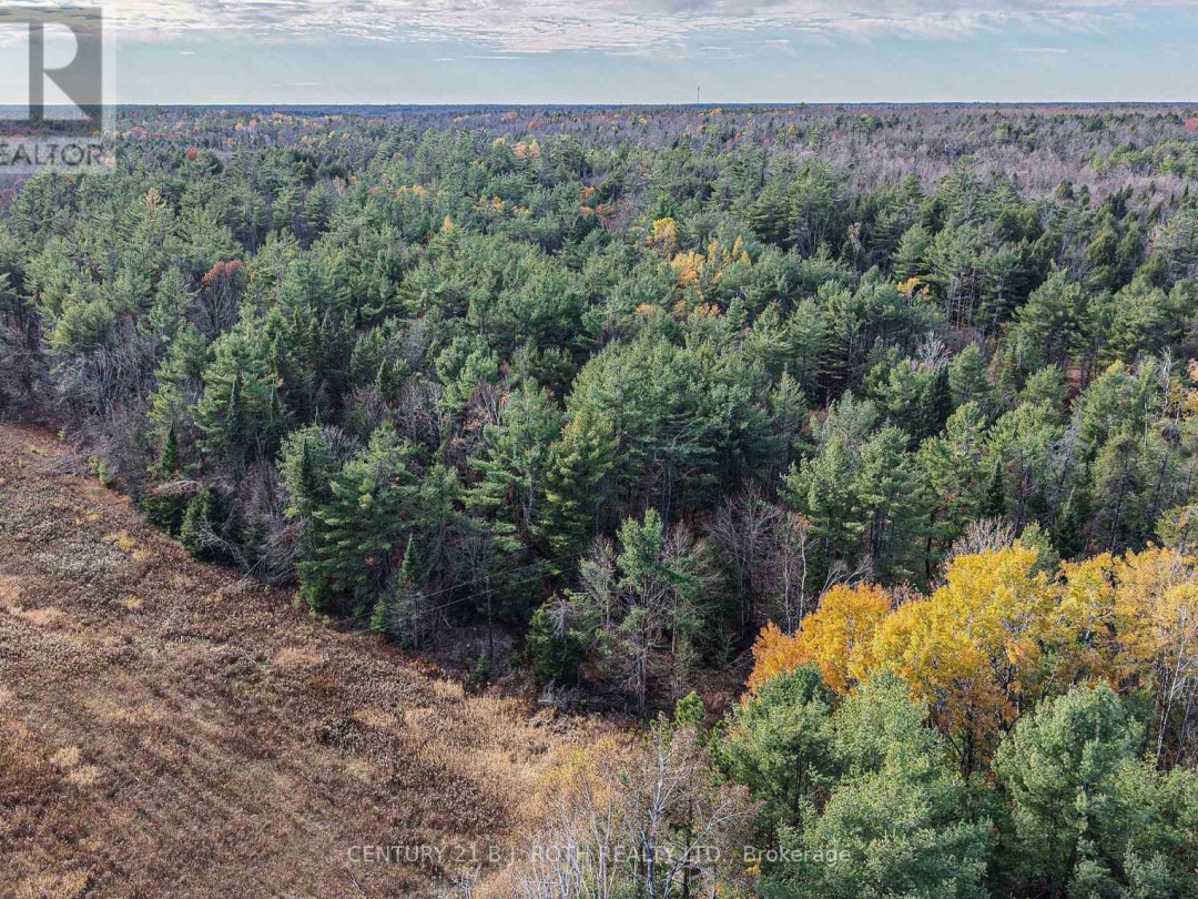 1036 HOPKINS ROAD, Gravenhurst (Ryde)