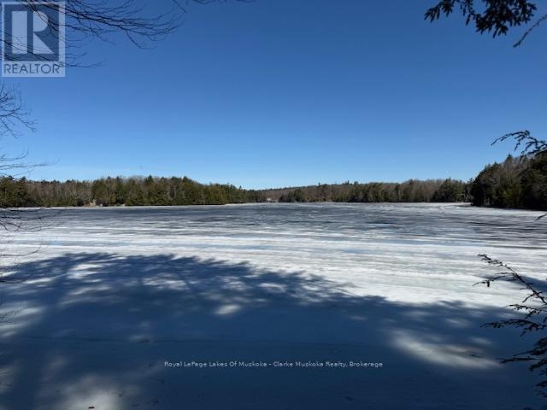 0 SOUTH CRANE LAKE ROAD, Crane Lake