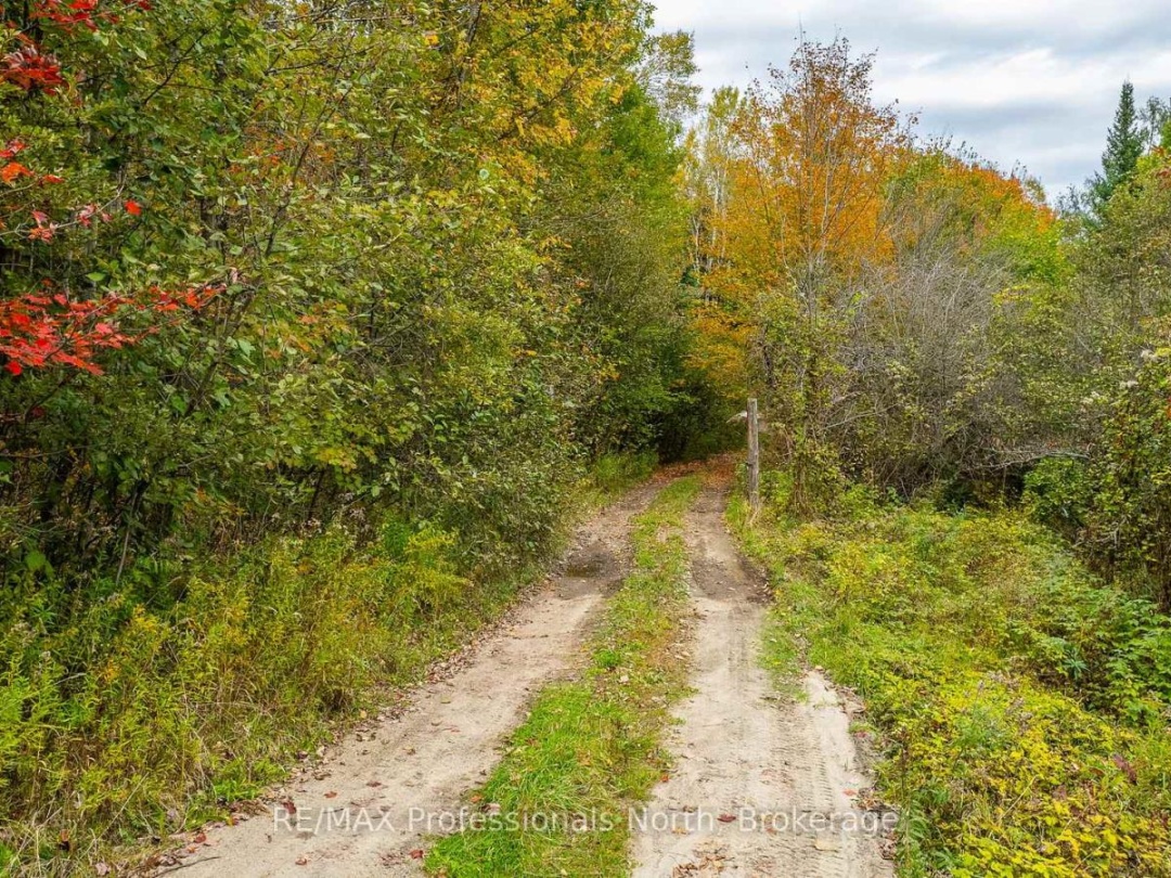1600 BOBCAYGEON ROAD, Minden Hills (Minden)