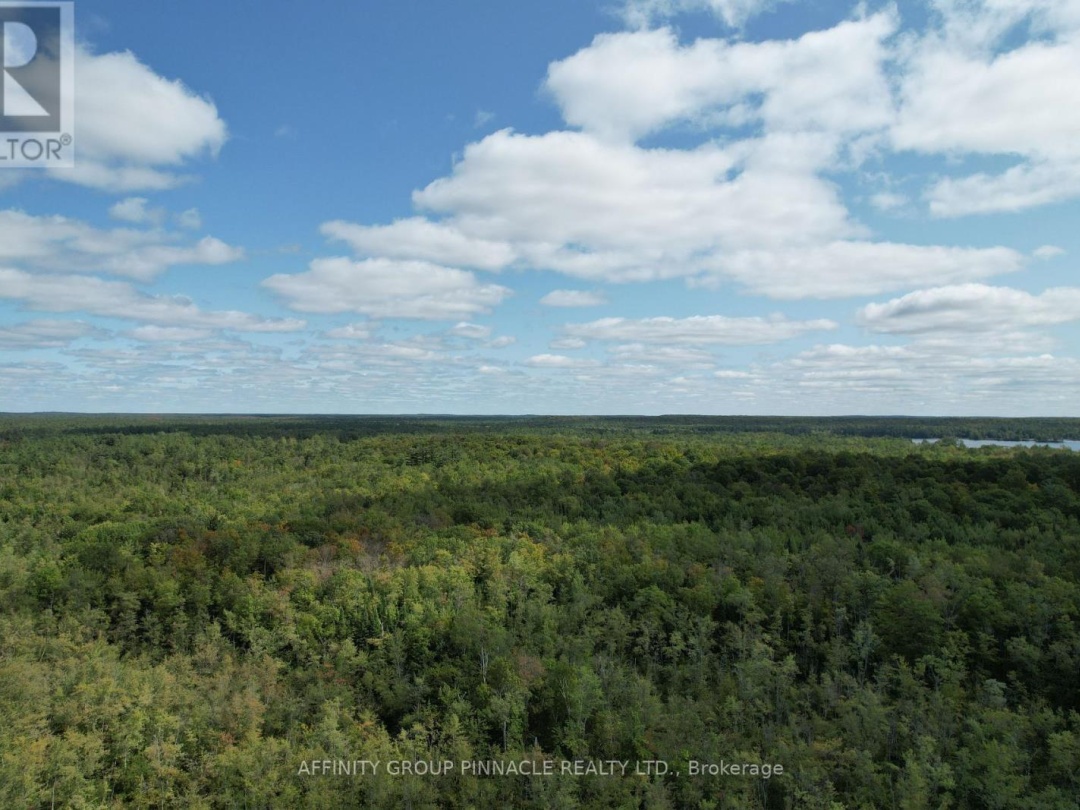 195 NORTH SHORE ROAD, 