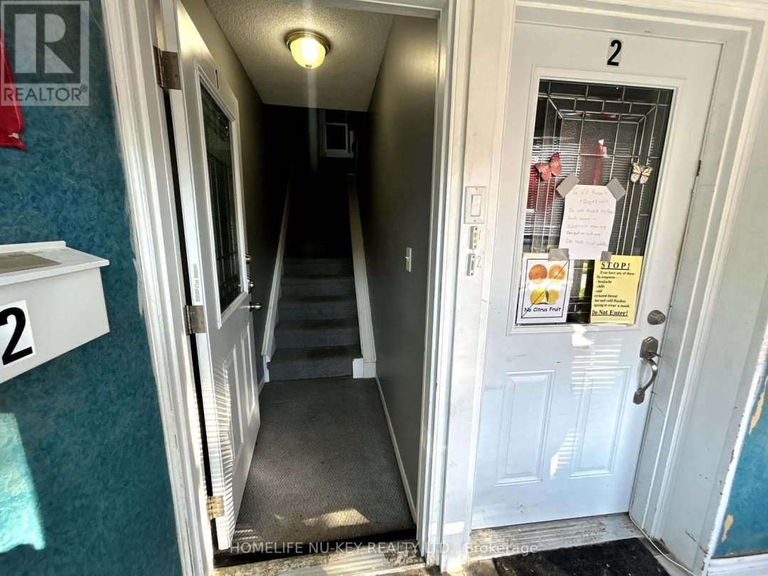 246 MARY STREET, 