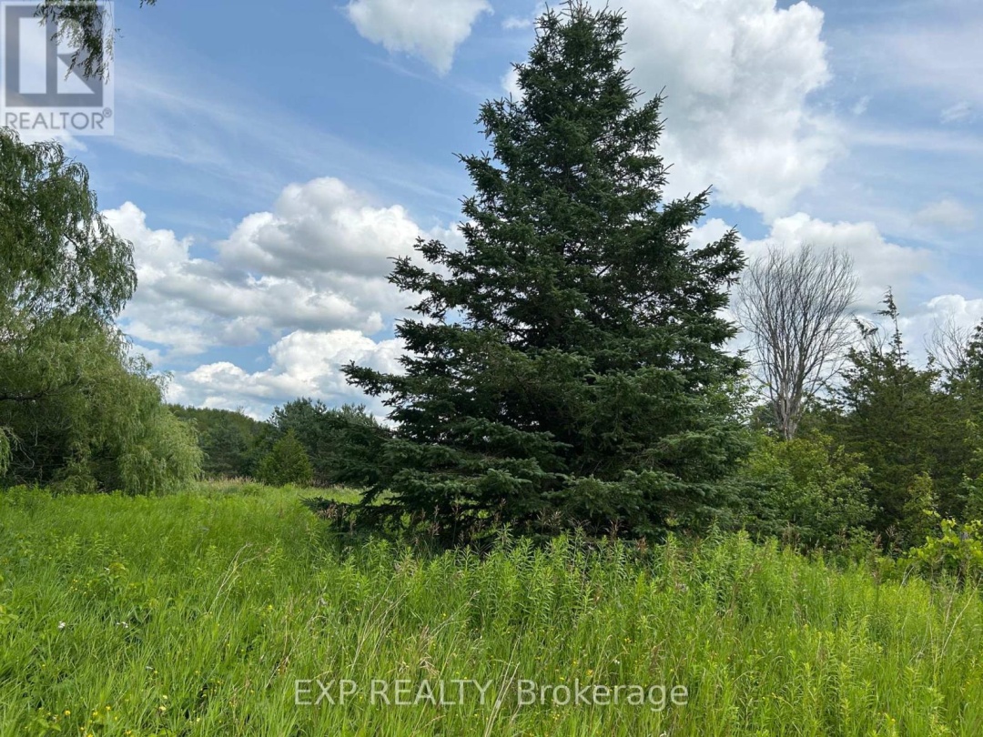 1155 WOOD ROAD, Tay