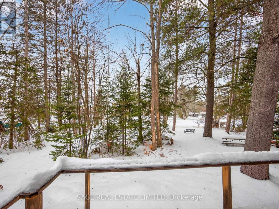 7856 BIRCH DRIVE, Black River