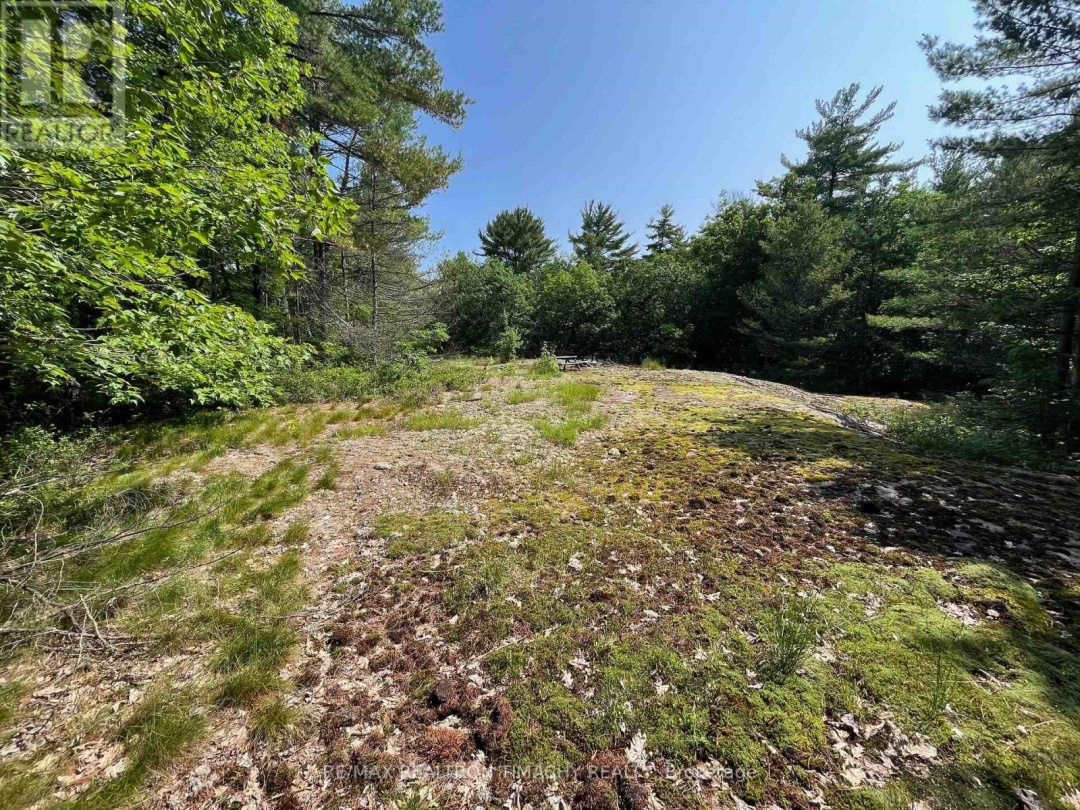 243 PRISQUE ROAD, Georgian Bay
