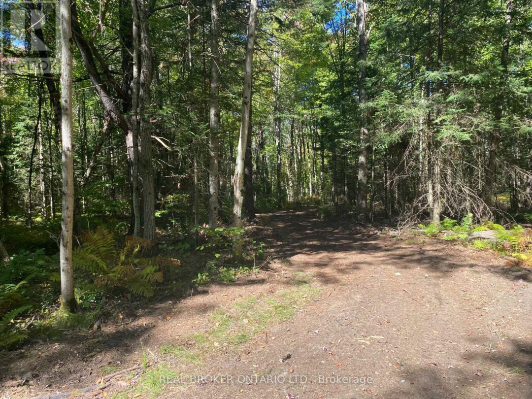 1248 BEIERS ROAD, Gravenhurst (Morrison)