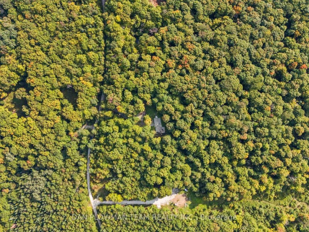 1409 BASSHAUNT LAKE ROAD, Dysart et al (Guilford)