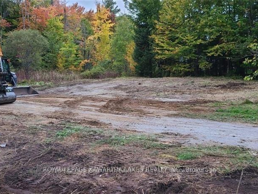 7545 HIGHWAY 35, Kawartha Lakes (Laxton/Digby/Longford)