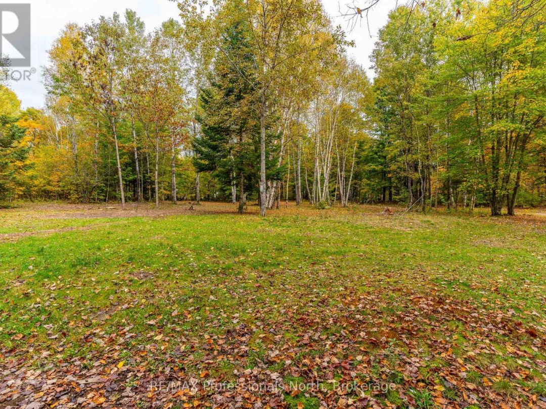 1600 BOBCAYGEON ROAD, Minden Hills (Minden)