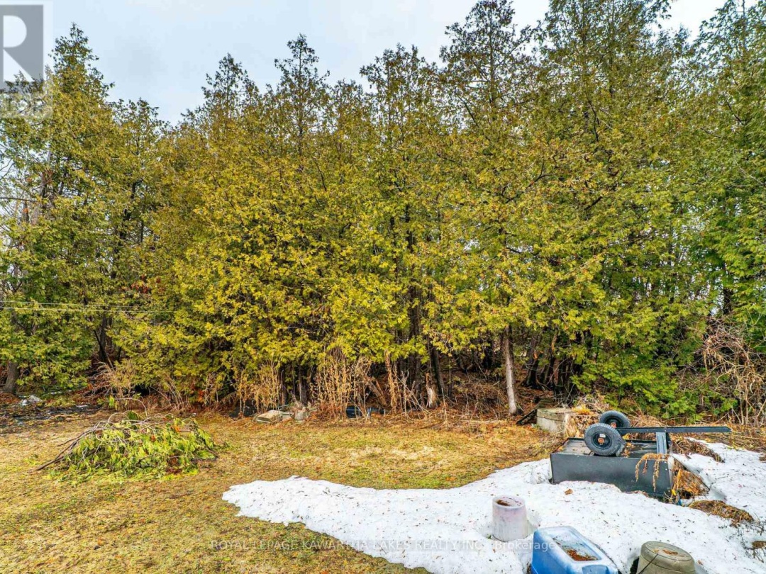 70 BLYTHE SHORE ROAD, Kawartha Lakes (Fenelon)