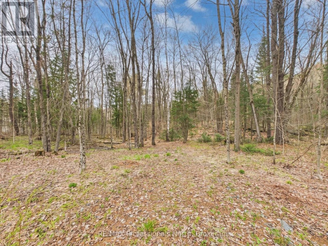 0 EAST WALKER LAKE DRIVE, Lake of Bays (Sinclair)