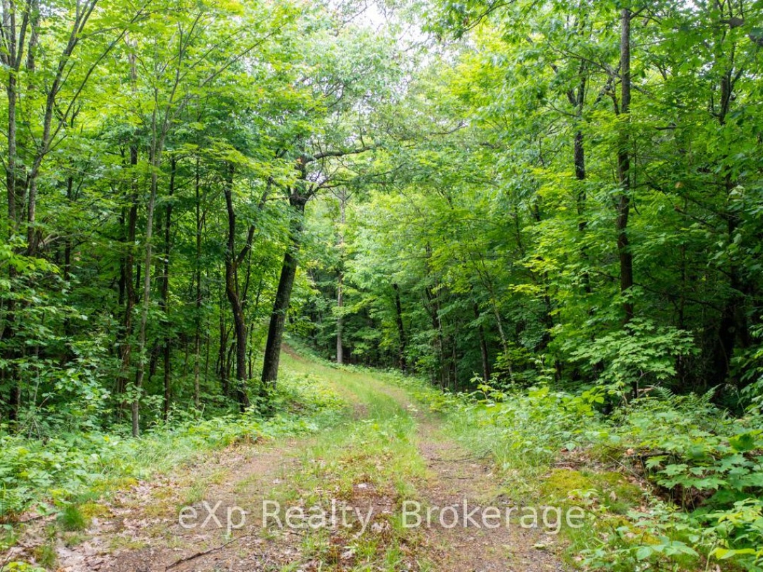 3 KINGFISHER ROAD, Trout Lake