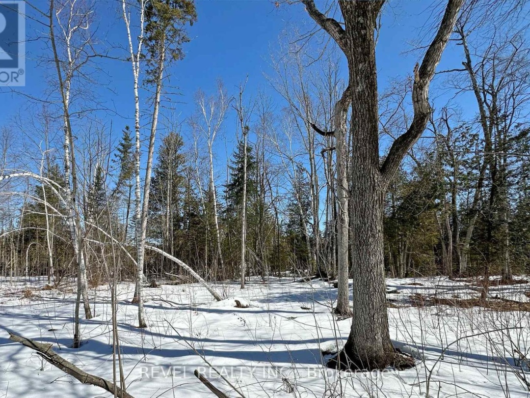 77 MCNEVAN DRIVE, Kawartha Lakes (Fenelon)