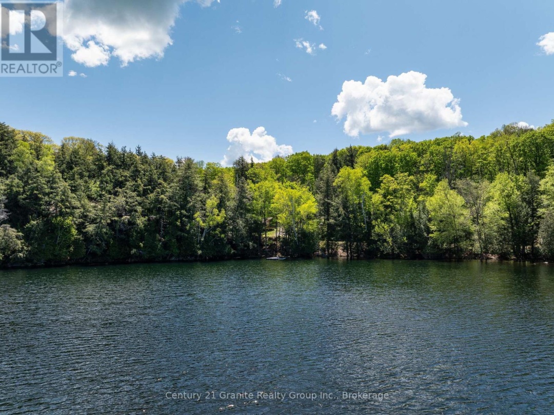 1145 MINK ROAD, Long Lake