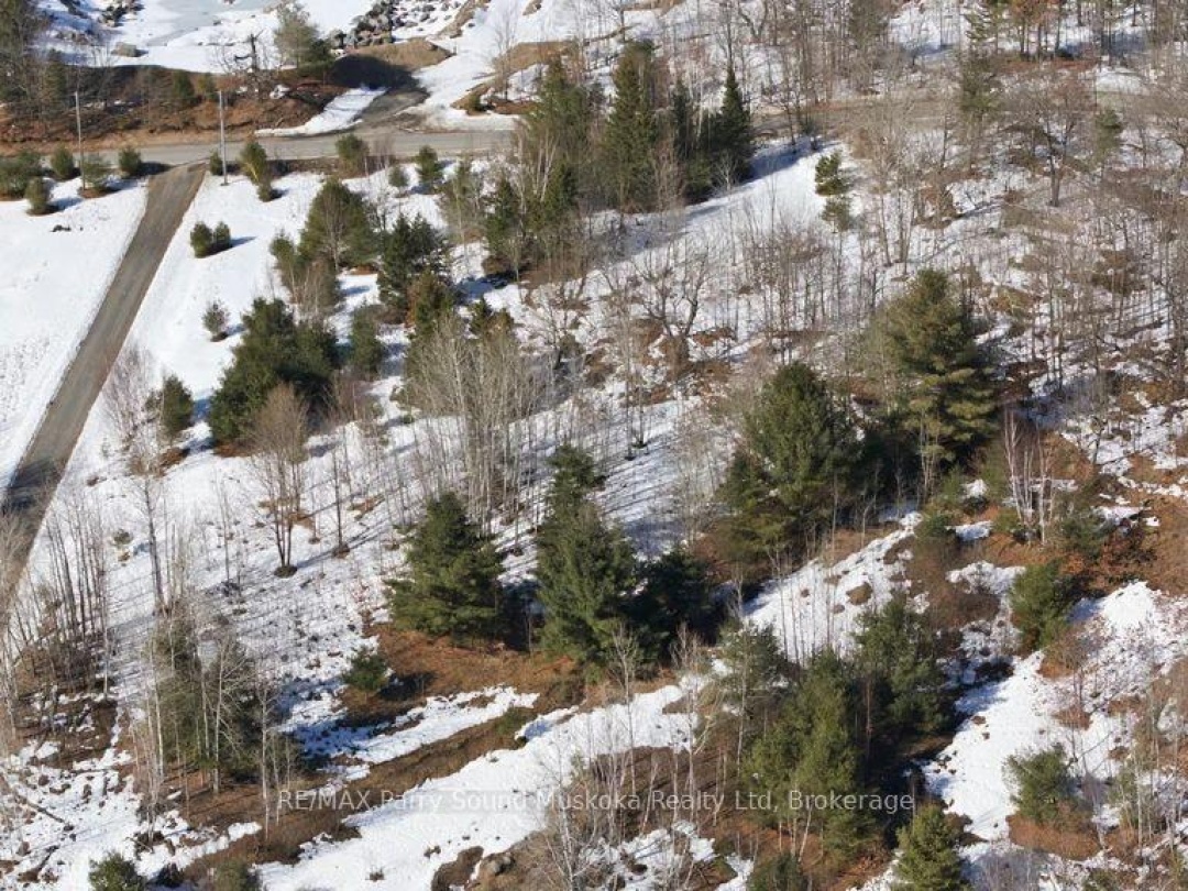 LOT 1 BURNSIDE BRIDGE ROAD, McDougall