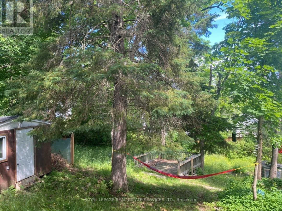 16 CORA STREET E, Huntsville (Chaffey)