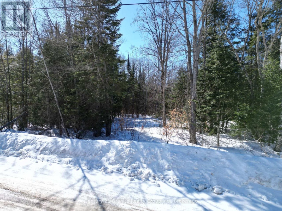 0 INDIAN POINT ROAD, Dysart et al (Dudley)