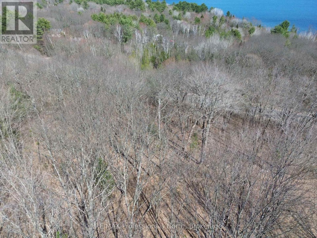 1023 LITTLE HAWK LAKE ROAD, Algonquin Highlands (Stanhope)