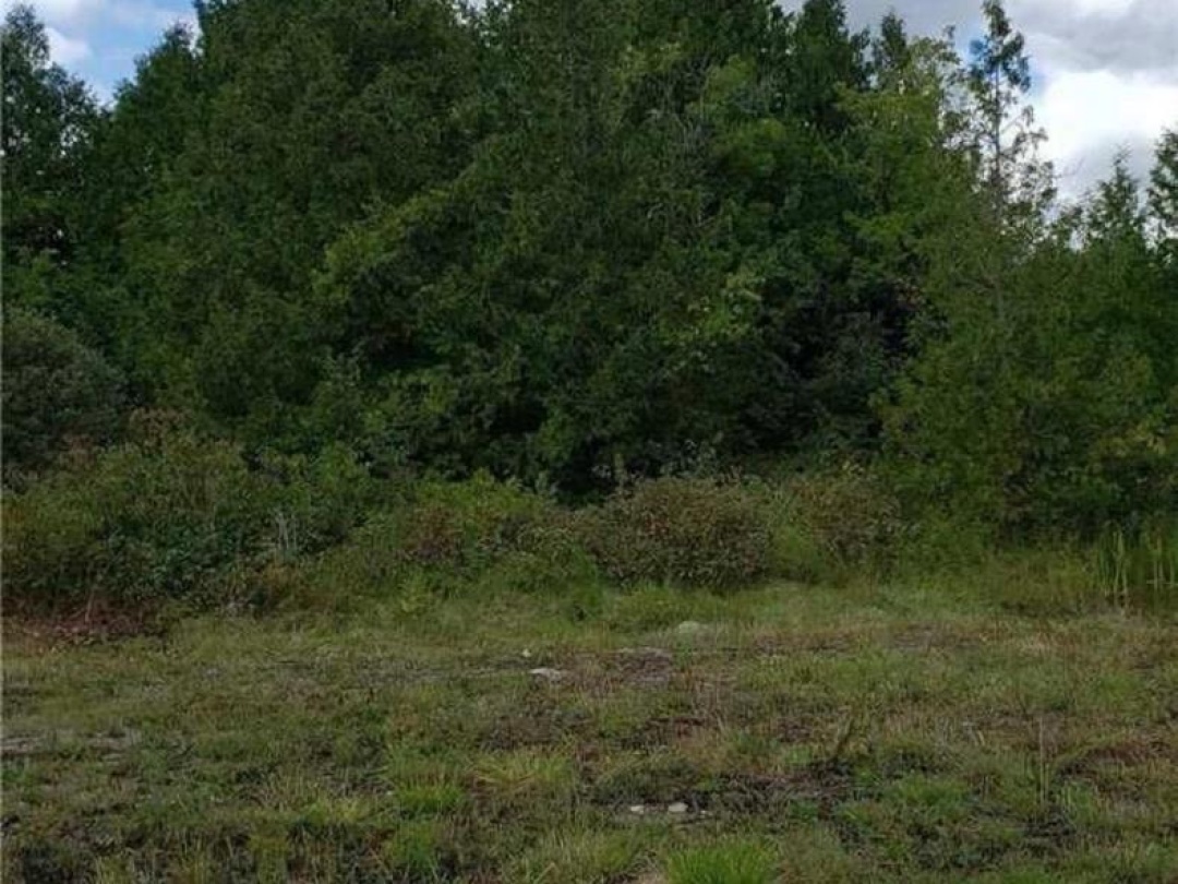 9 TALBOT RIVER ROAD, Kawartha Lakes (Carden)