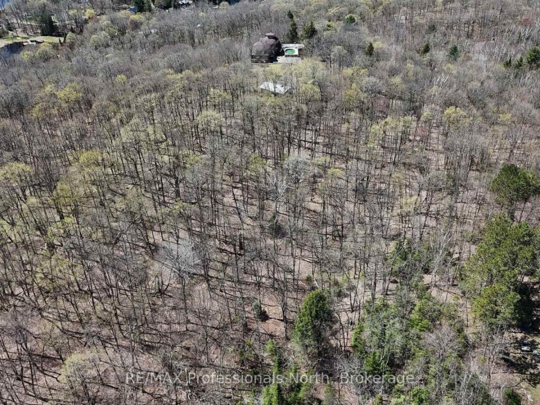 0 OSPREY ROAD, Minden Hills (Minden)