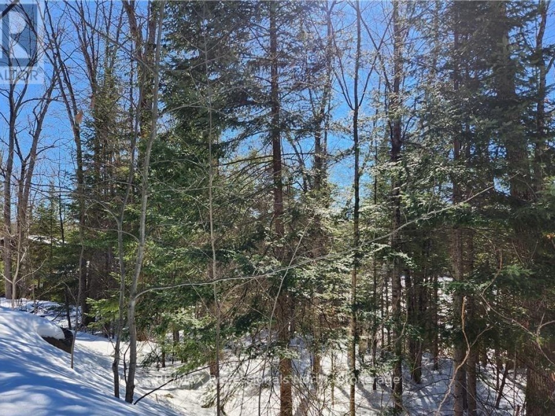 0 POVERTY BAY TRAIL, Soyers Lake