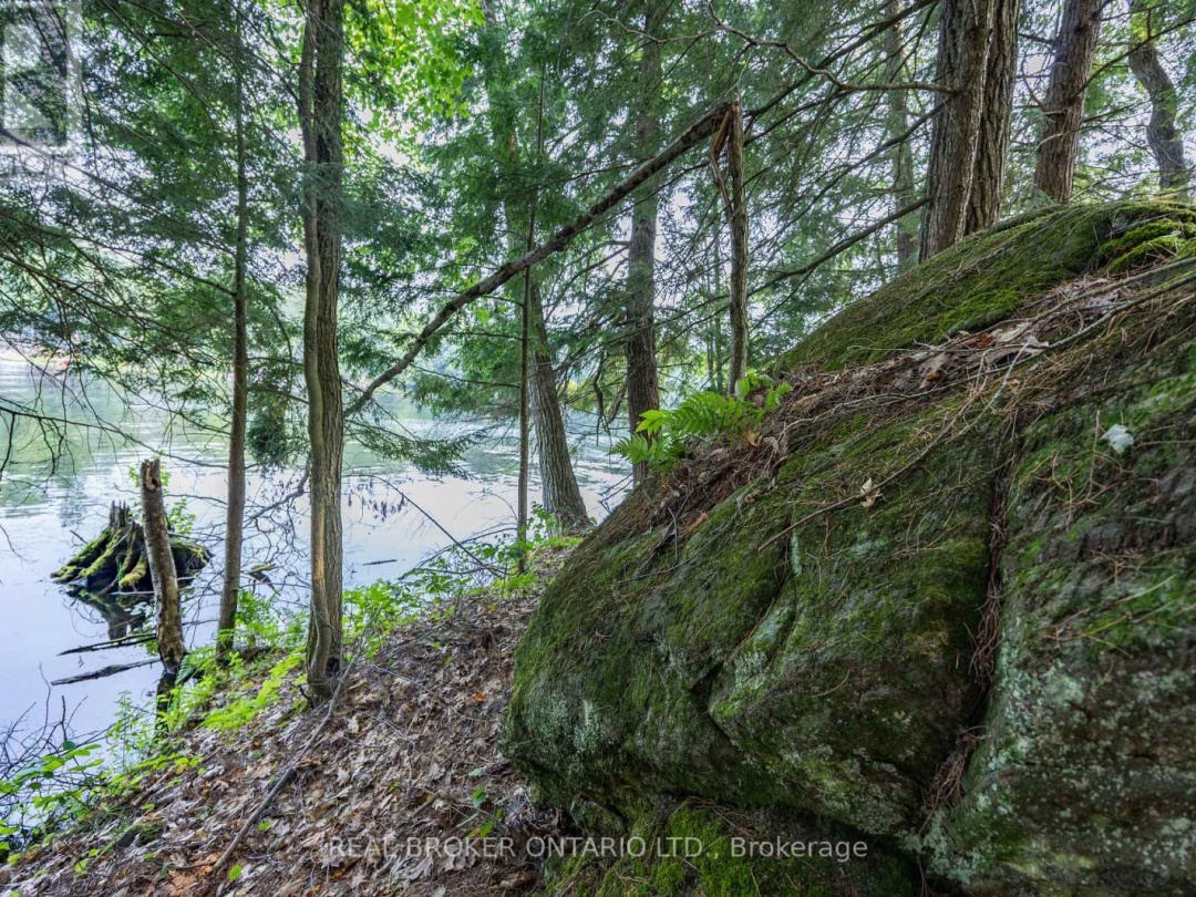 LOT 13 4 WHEEL DRIVE, Severn River