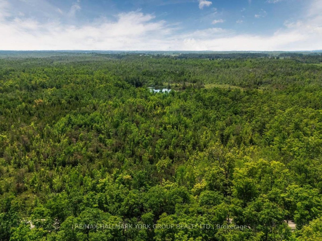 600 14TH LINE SOUTH, Lake Simcoe