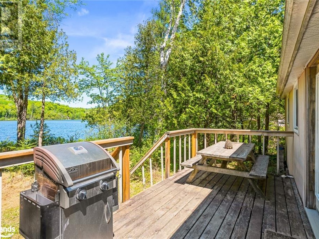 1037 Dudley Road, South Portage Lake