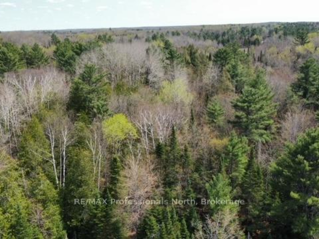 0 BOBCAYGEON ROAD, Minden Hills (Hindon)