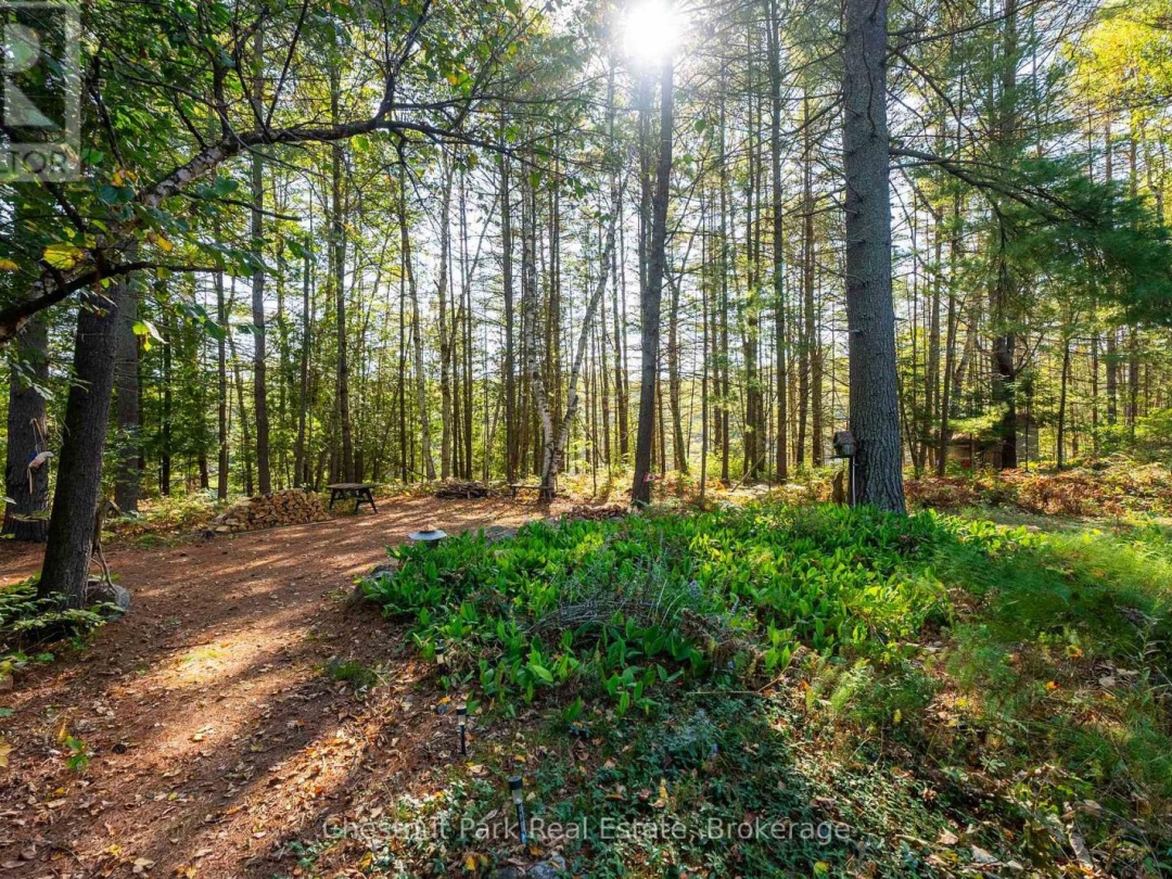 10000 SOYERS - BROWN ISLAND, Soyers Lake