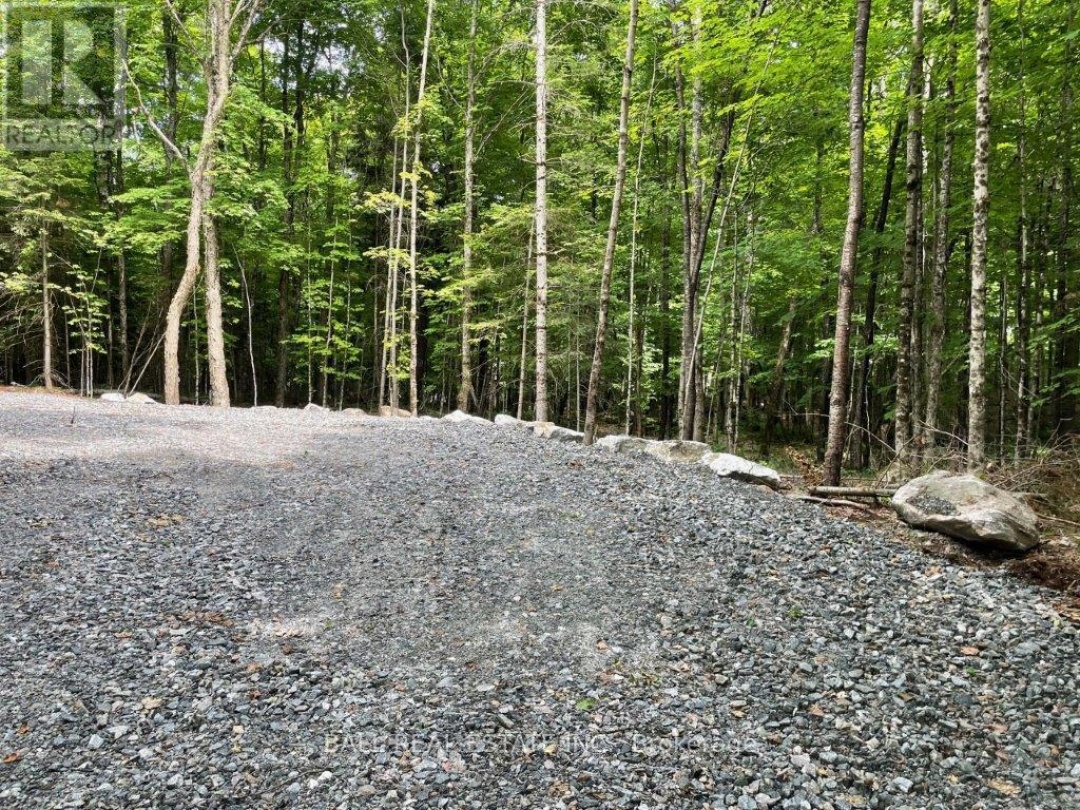 1350 HALIBURTON LAKE RD, Dysart et al (Dysart)