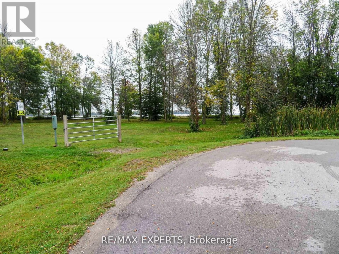 3771 HARRY'S LANE, Ramara